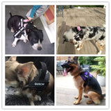 Reflective Nylon Dog Harness
