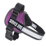 Reflective Nylon Dog Harness