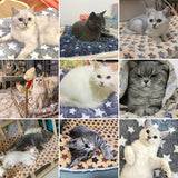 Pet Blanket Dog Bed Cat Mat Flannel Thickened Accessories Keep Warm In Winter Sleeping For Sofa Cushion Home Rug Supplies
