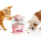 Food Dispenser Container for Pet